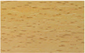 4083n